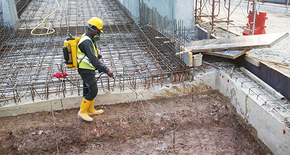 Anti Termite Treatment in Delhi, Anti Termite Treatment in Gurgaon, Anti Termite Treatment in Noida, Anti Termite Treatment in Greater Noida, Anti Termite Treatment in Faridabad, Anti Termite Treatment in Ghaziabad, Anti Termite Treatment in Dwarka